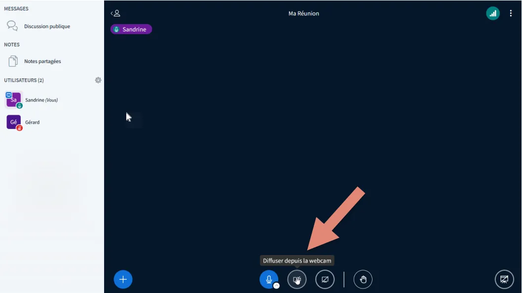 cliquez sur le bouton &ldquo;Diffuser depuis la webcam&rdquo;.