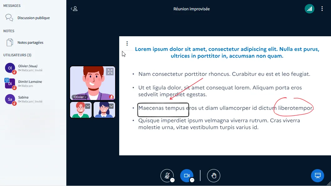 centrer votre webcam.