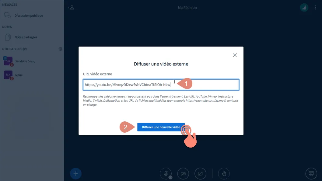 coller l&rsquo;URL de la vidéo externe.
