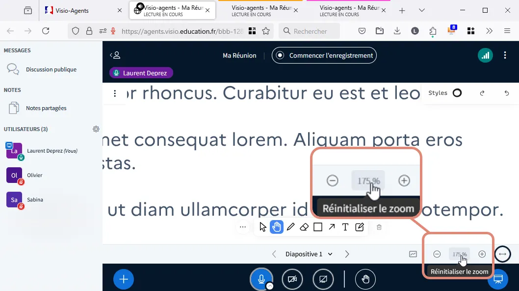 réinitialiser le zoom.