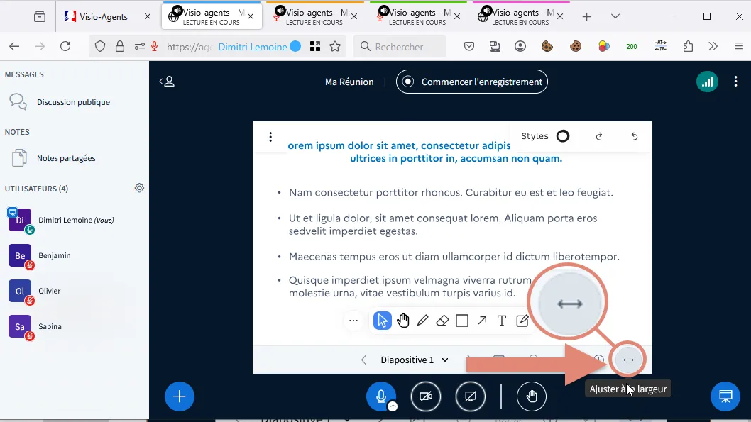 bouton pour ajuster la taille du document.