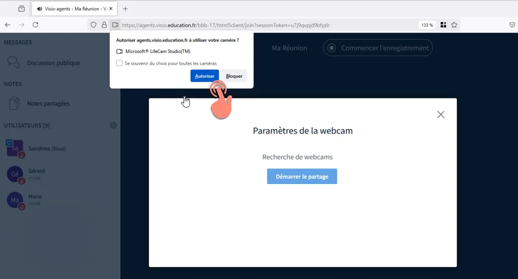 autorise webcam dans le navigateur.