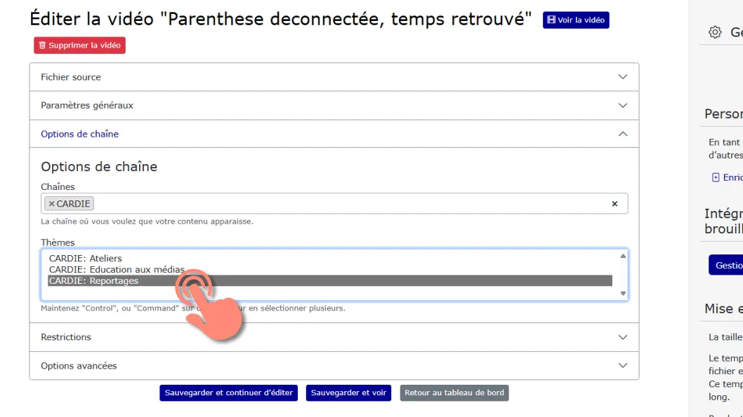 sélection d’un ou plusieurs thèmes pour la vidéo.