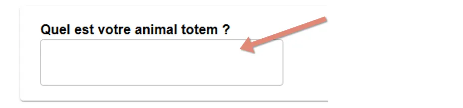 question Texte court