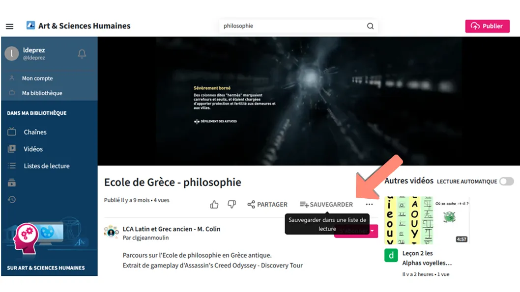 Capture 5 vue vidéo